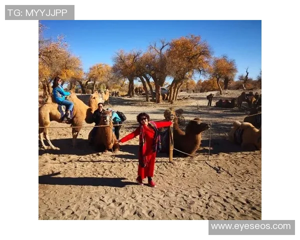 李佳珩：从草根到职业足球的奋斗历程与梦想追逐