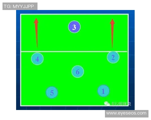 武汉排球队节奏打法深度解析与战术特点剖析